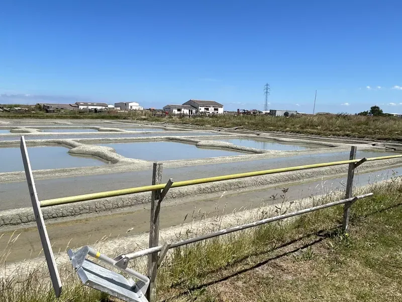 Marais salant